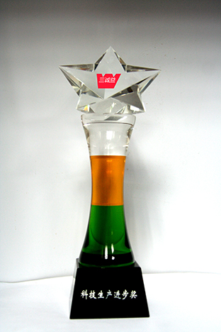 科技生產(chǎn)進(jìn)步獎(jiǎng)